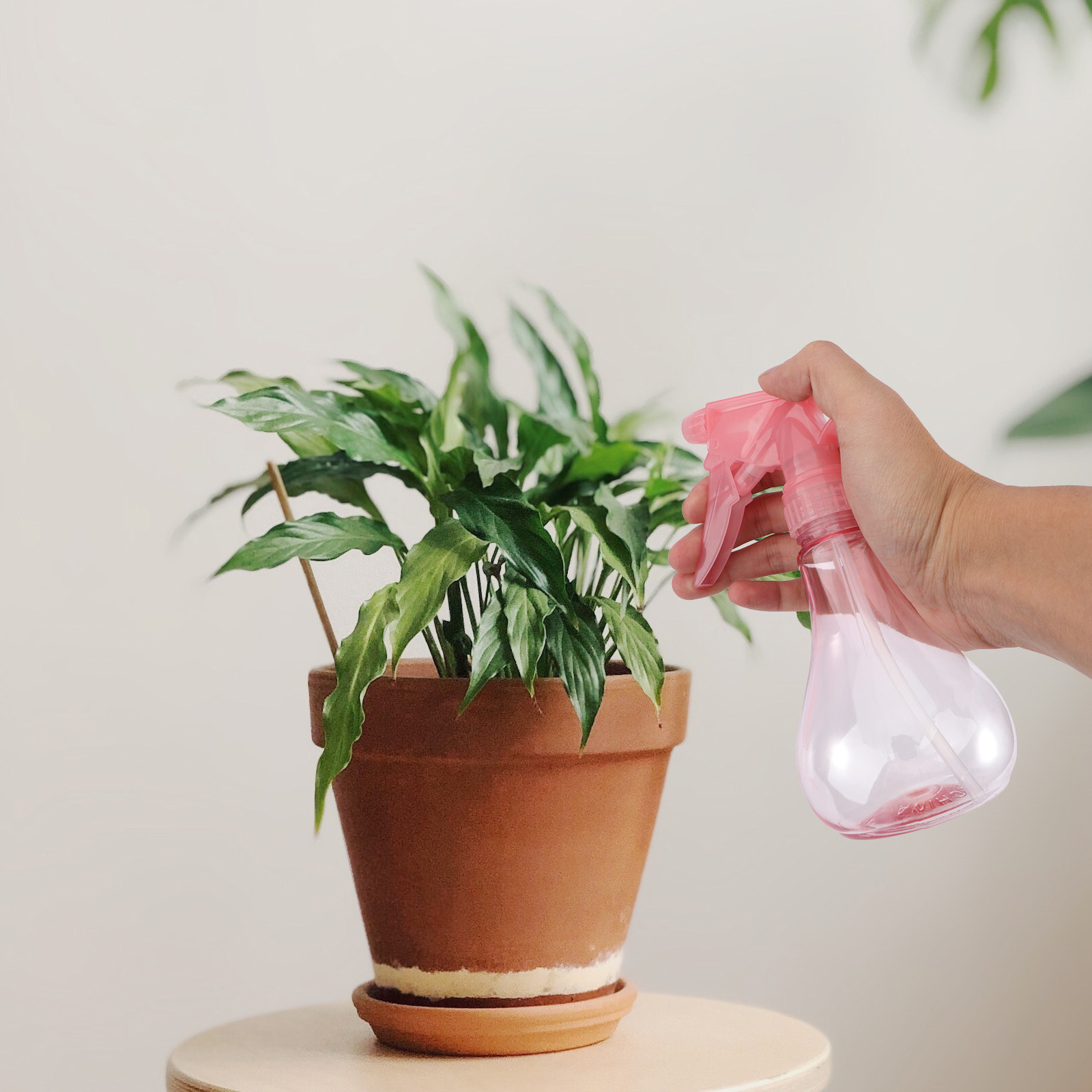 Gardening Tools Kit - ミニ多肉植物植え付けツールキット1セット、ガーデン植え付けツールセット、植え替え用花アクセサリー、人間工学に基づいたデザイン