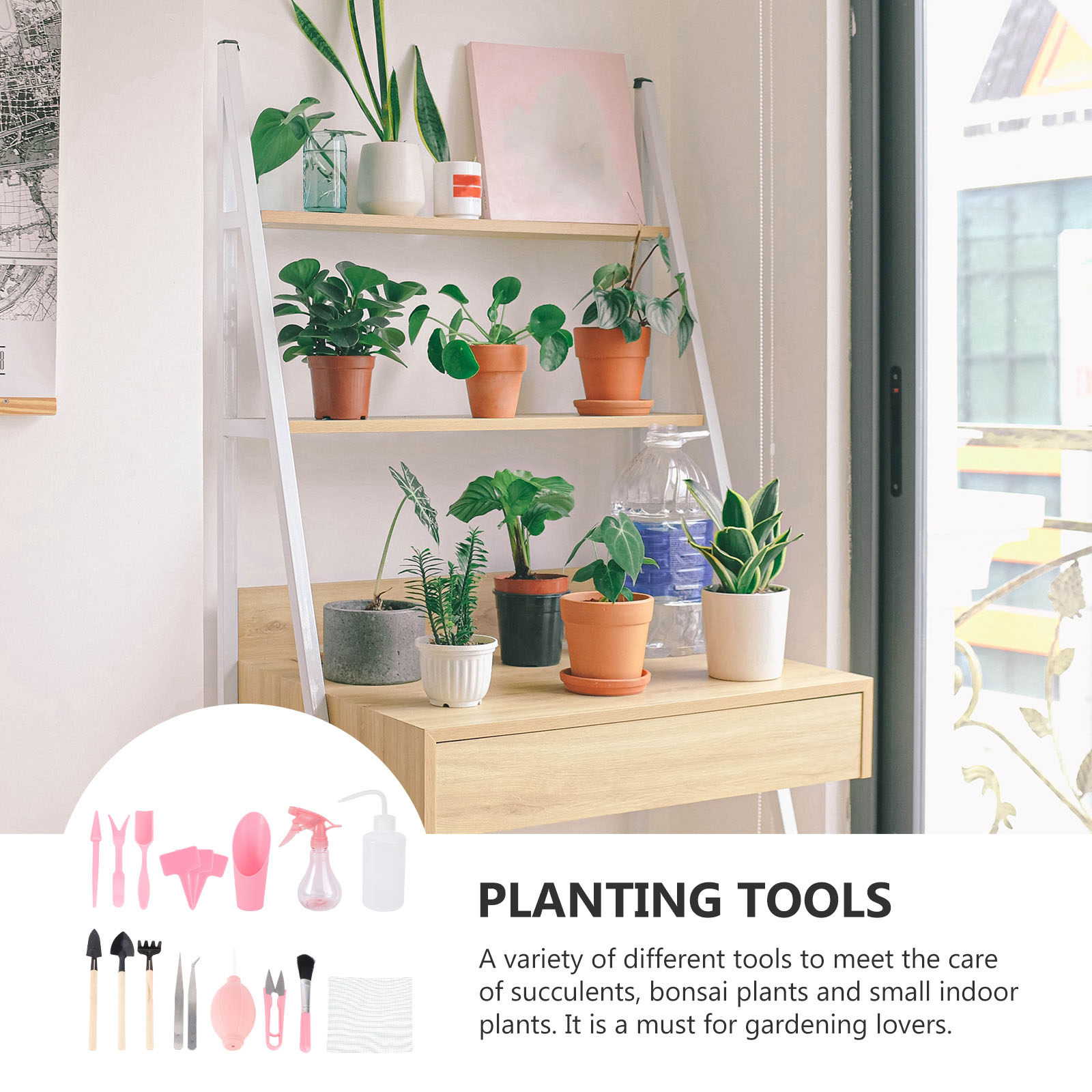 ミニ多肉植物植え付けツールキット1セット、ガーデン植え付けツ - Gardening Tools Kit のレビューと価格