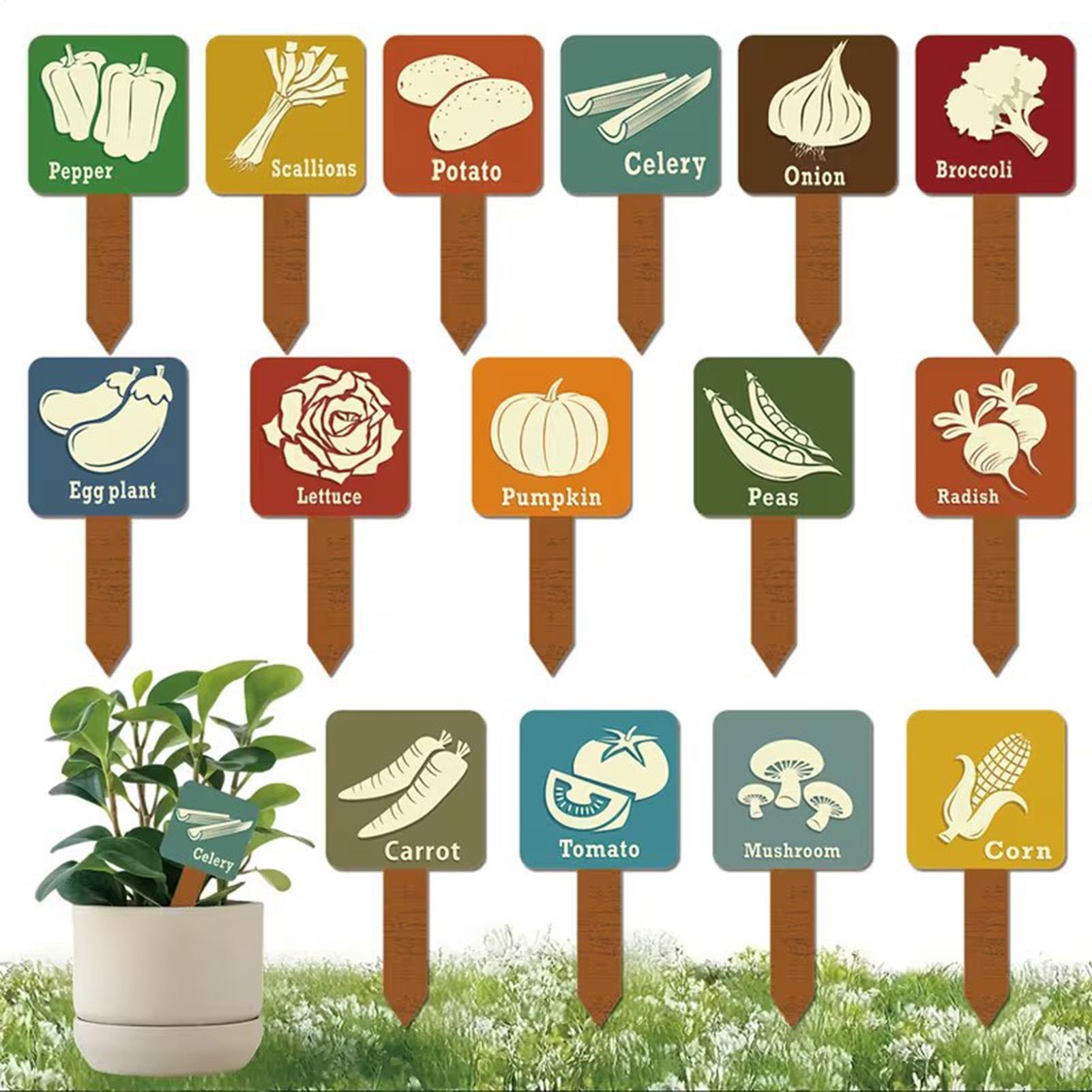 15 個の T 字型標識タグマーカー木製植物ラベルステークス - Plant Label Tags のレビューと価格