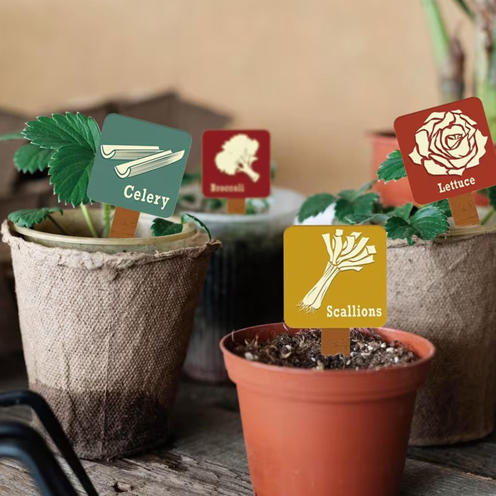15 個の T 字型標識タグマーカー木製植物ラベルステークス - Plant Label Tags のレビューと価格