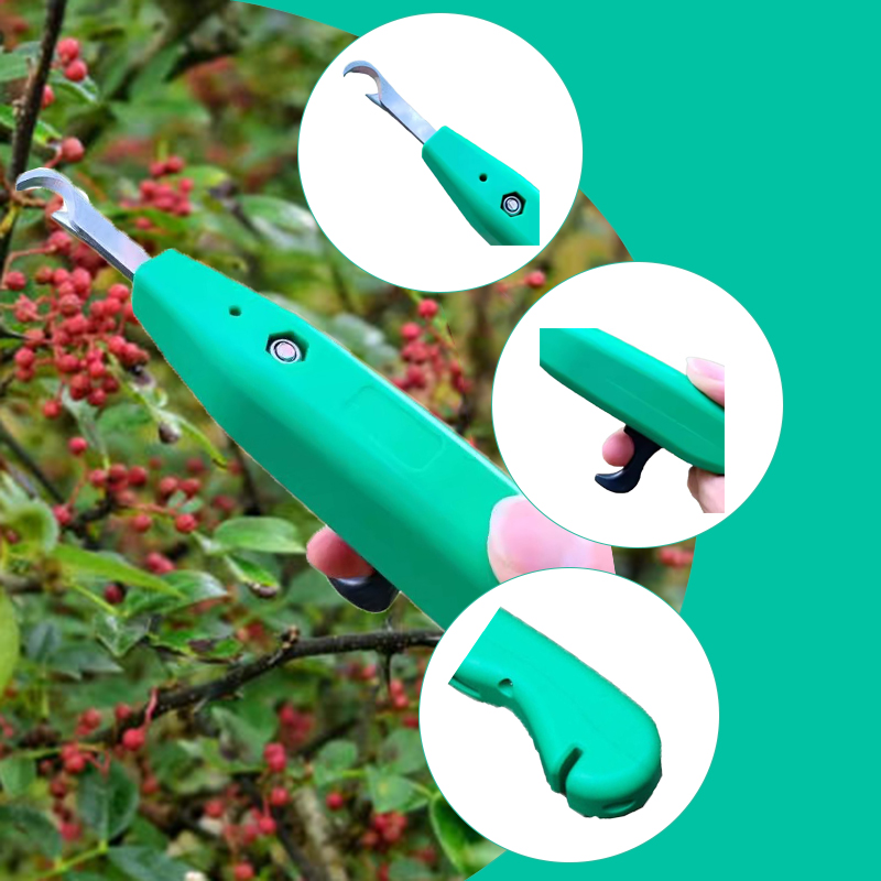 プロ用ペッパーピッカー ハンドヘルド収穫用ハサミ ポータブル - Gardening Tools Hand のレビューと価格