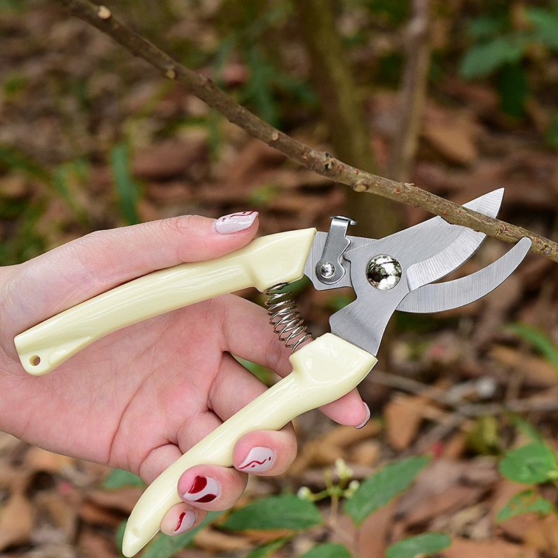 省力型ガーデン剪定鋏、枝、花茎、果樹の剪定用プロ用ハンドプル - Gardening Tools Rake のレビューと価格