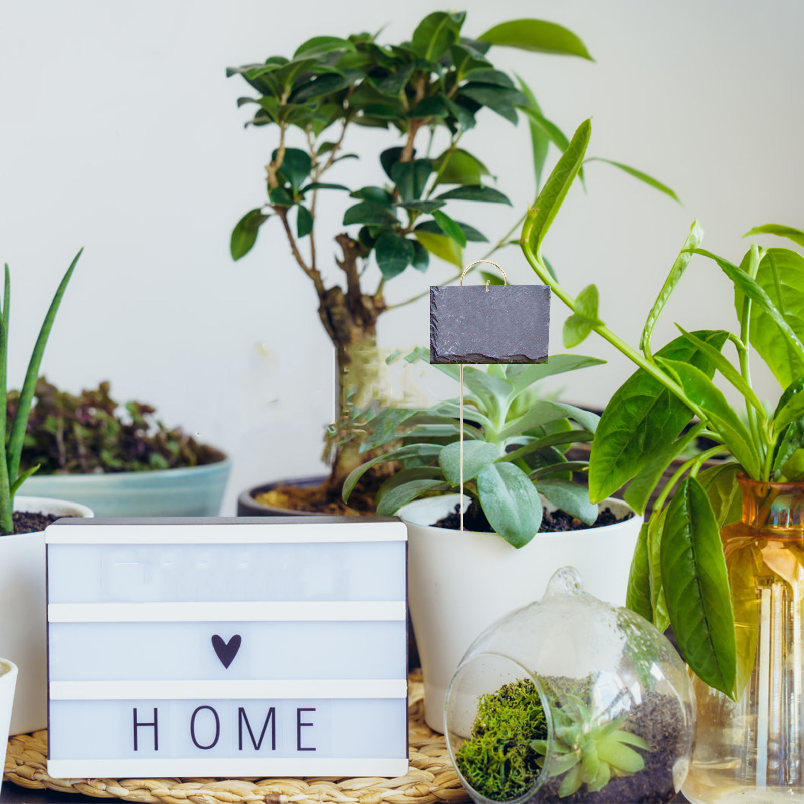 10個入り、頑丈な金属製植物ラベルフック、ガーデン用支柱、長 - Plant Label Tags のレビューと価格