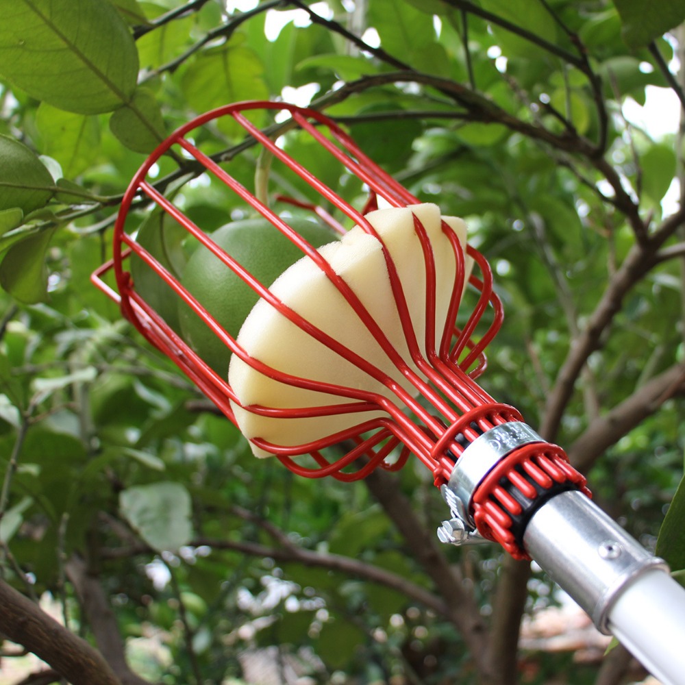 金属/プラスチック製フルーツピッカーヘッド（ポールなし）フル - Gardening Tools Hand のレビューと価格