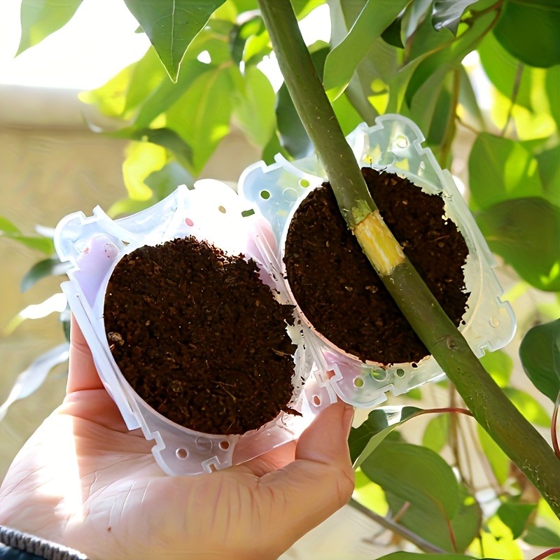 10個入り高圧植物発根繁殖ボックスキット、庭園用圧力ボール付 - Gardening Tools Kit のレビューと価格