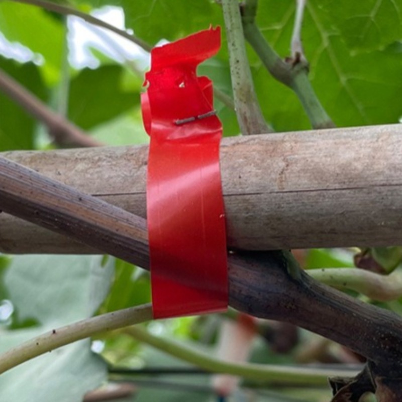 ブドウの枝結束機 特殊トマトキュウリつる結束テープ設置機 ポ - Gardening Tools Hand のレビューと価格